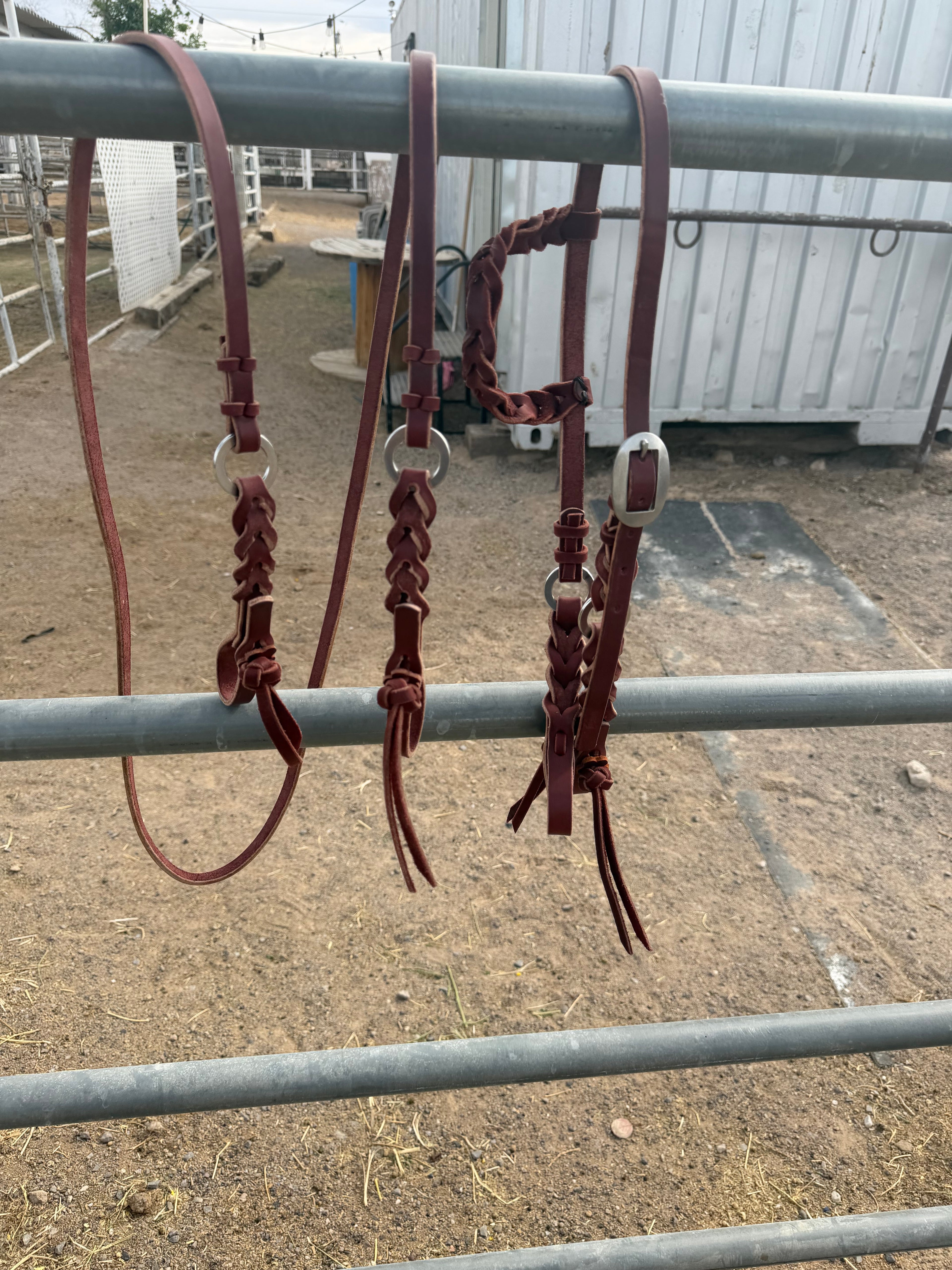 Bloodknot headstall / roping rein