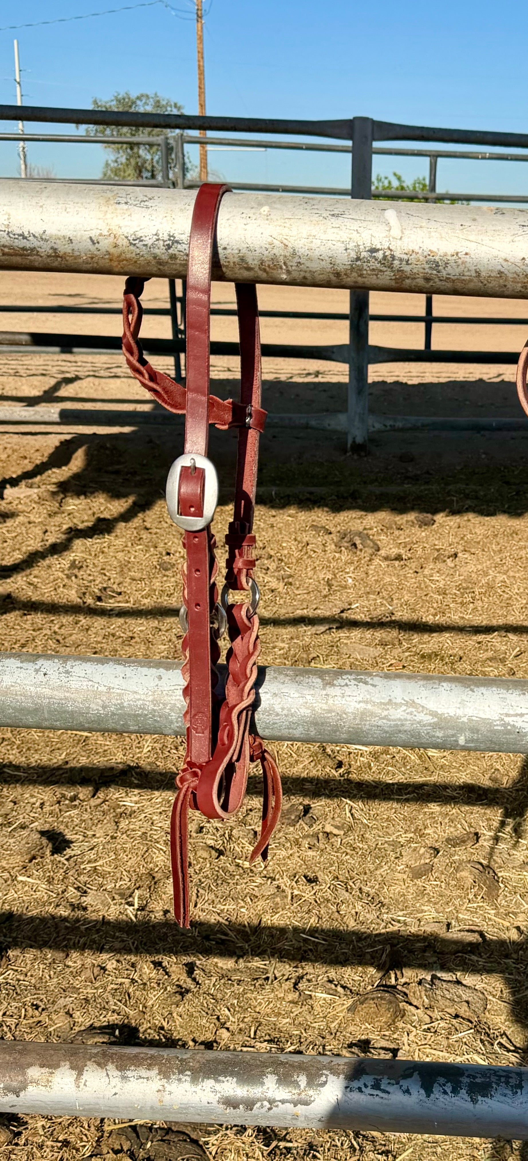Bloodknot headstall / roping rein